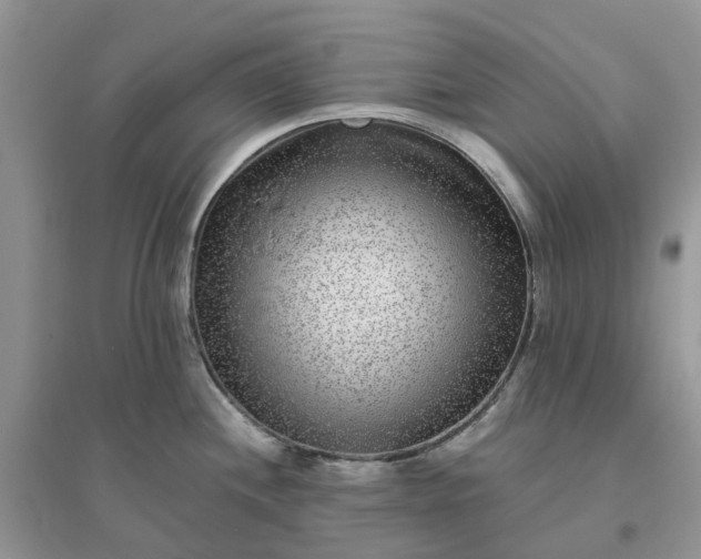 X0000096171244200802011311