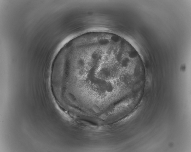 X0000096171245200802011311