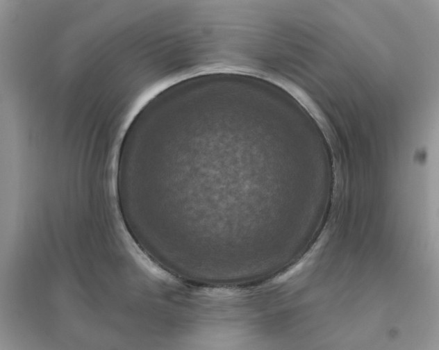 X0000096171246200802011311