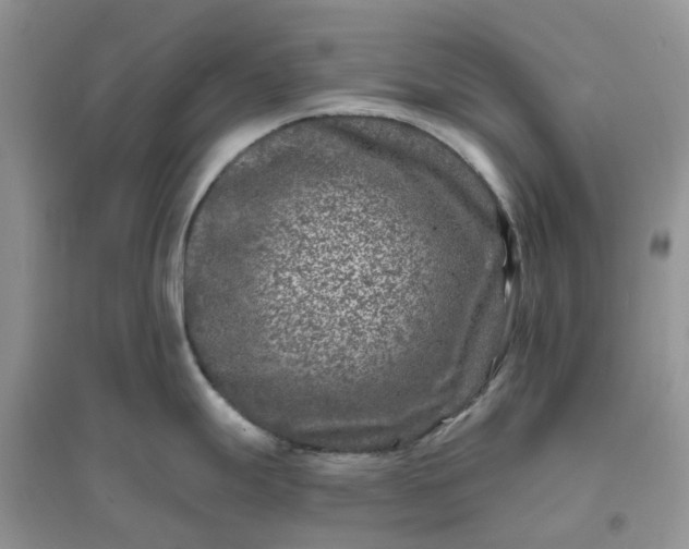 X0000096171247200802011311