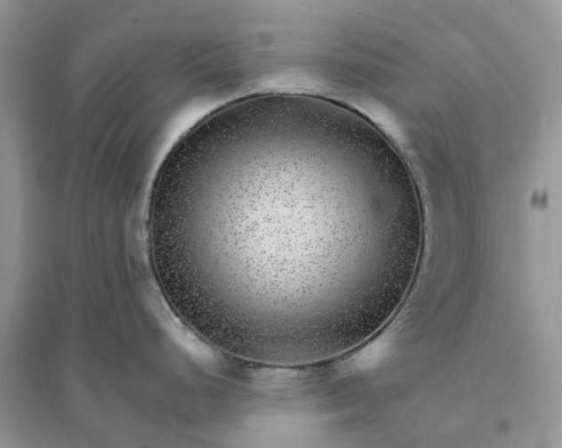 X0000096171248200802011311