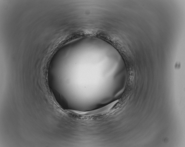 X0000096171249200802011310