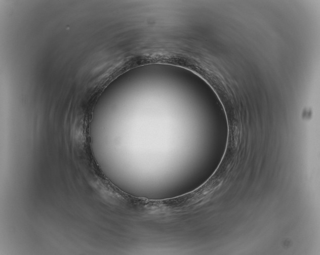 X0000096171250200802011310