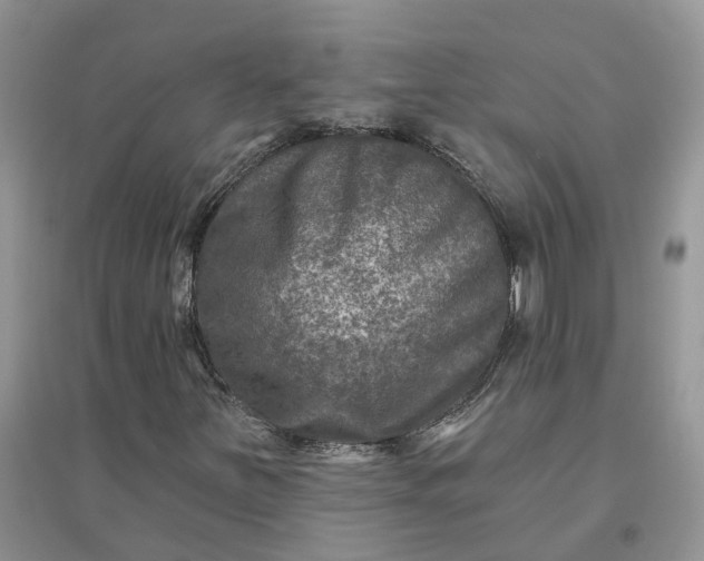 X0000096171251200802011310