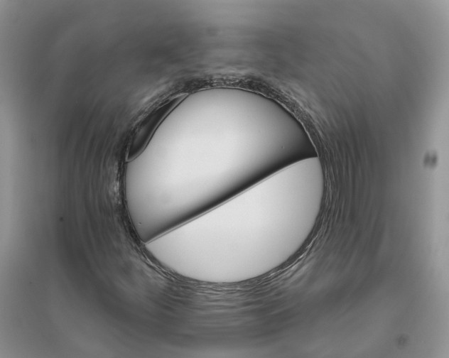 X0000096171252200802011310