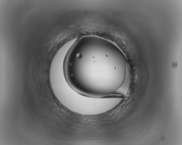 X0000096171253200802011310