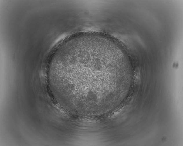 X0000096171254200802011310