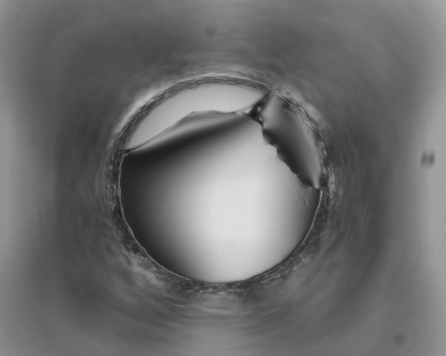 X0000096171256200802011310