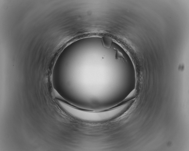 X0000096171257200802011310