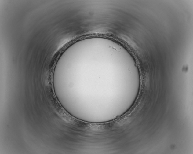 X0000096171258200802011310