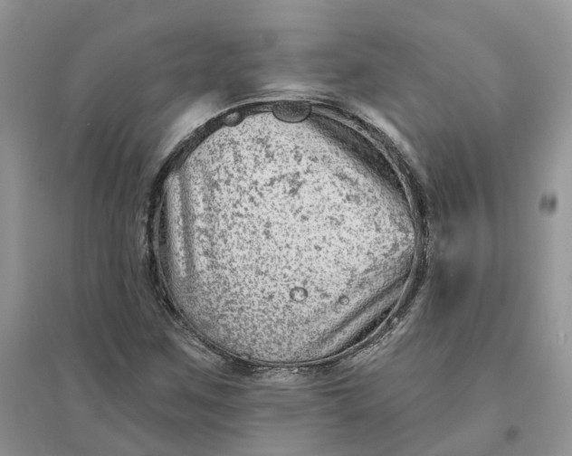 X0000096171259200802011310