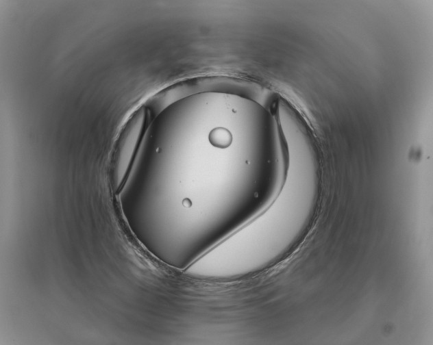 X0000096171260200802011310