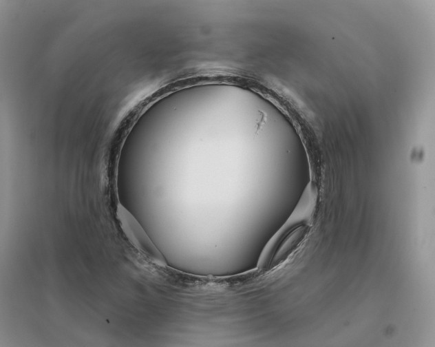 X0000096171261200802011310