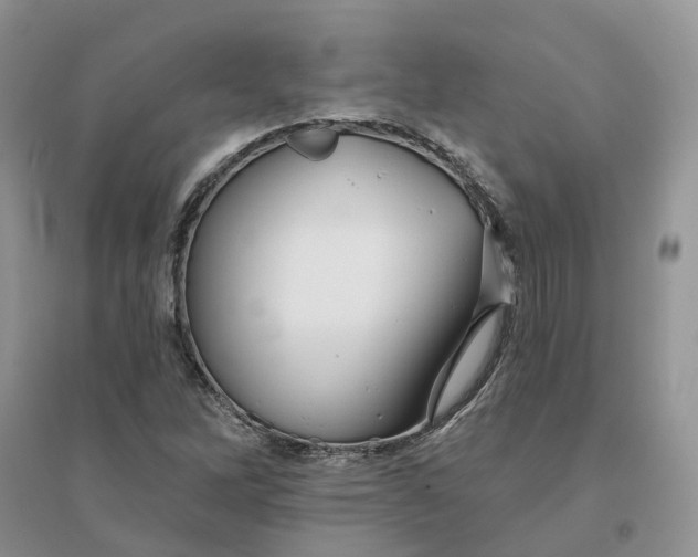 X0000096171262200802011310