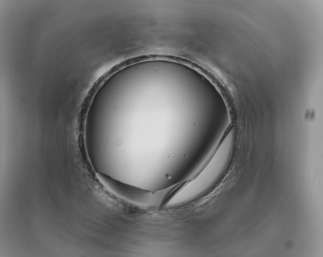 X0000096171264200802011310