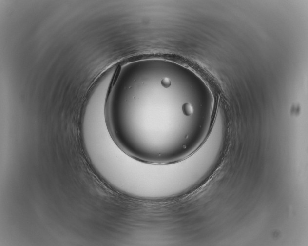 X0000096171265200802011310