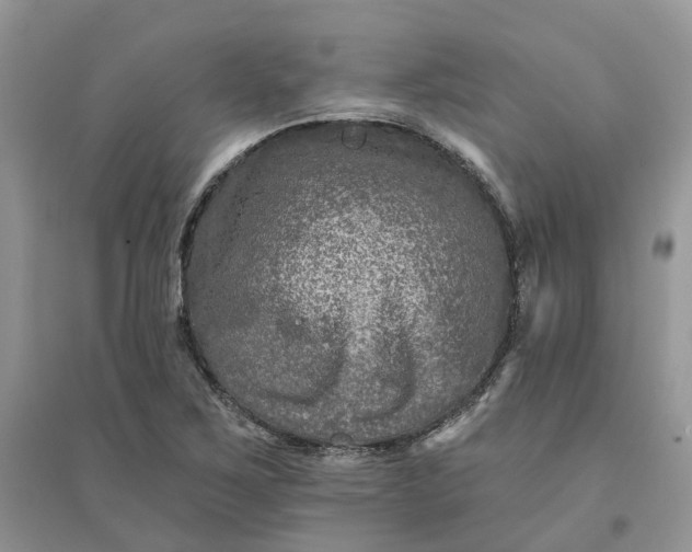 X0000096171267200802011310