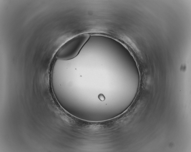 X0000096171268200802011310