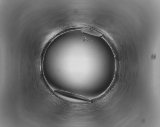 X0000096171269200802011310