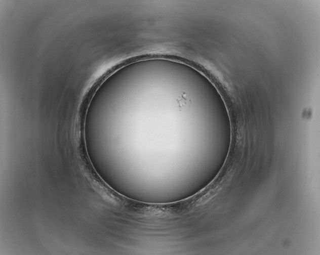 X0000096171270200802011310