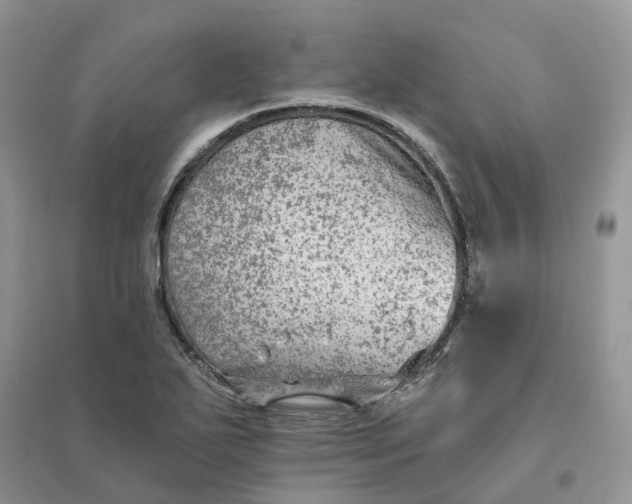 X0000096171271200802011310