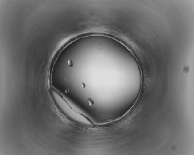 X0000096171272200802011310