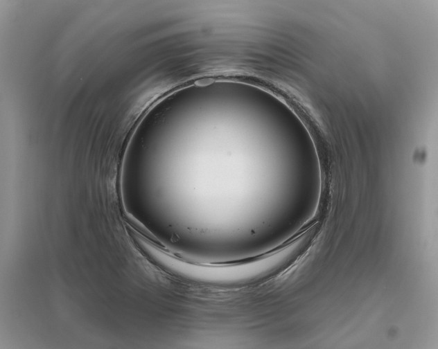 X0000096171273200802011310