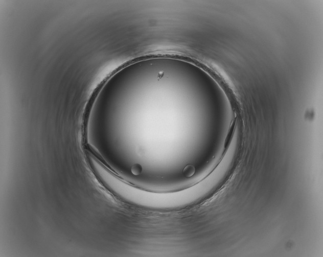 X0000096171277200802011310