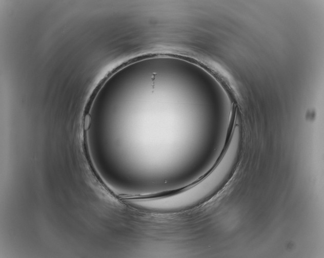 X0000096171280200802011310