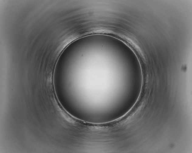 X0000096171281200802011310