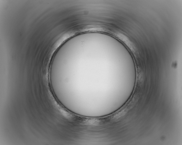 X0000096171282200802011310