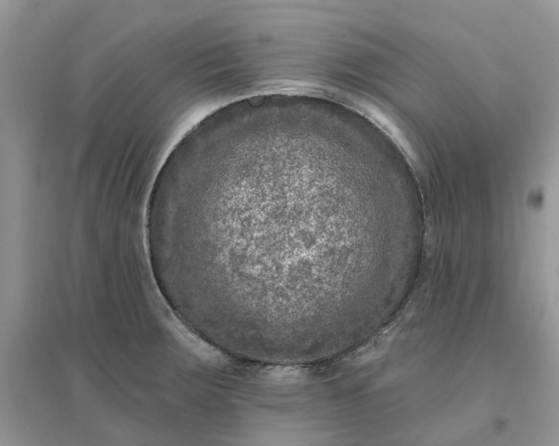 X0000096171283200802011310