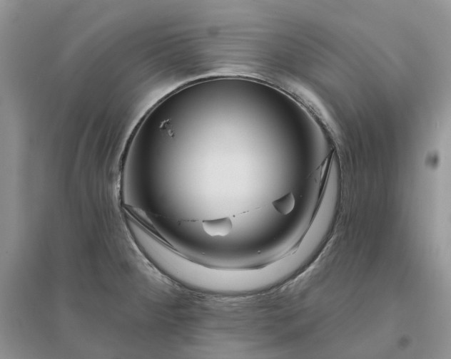 X0000096171284200802011310