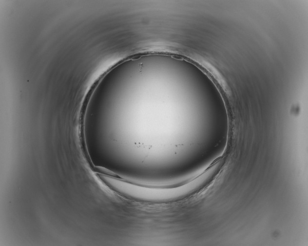 X0000096171285200802011310