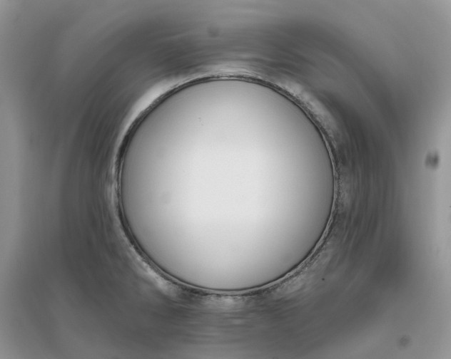 X0000096171286200802011310