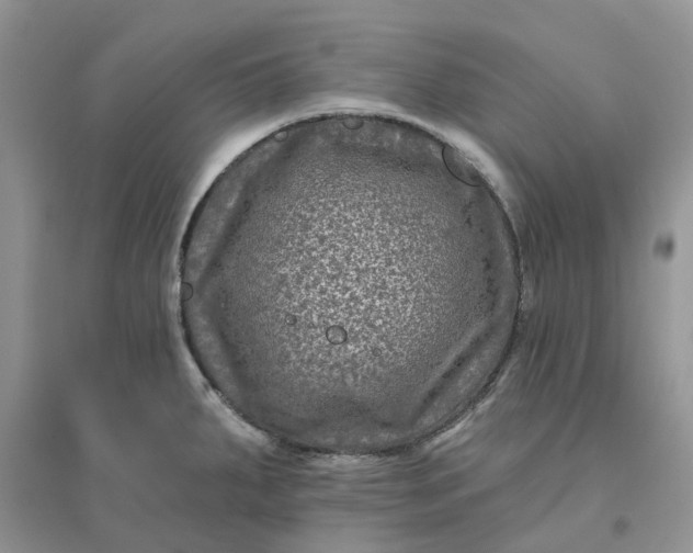 X0000096171287200802011310