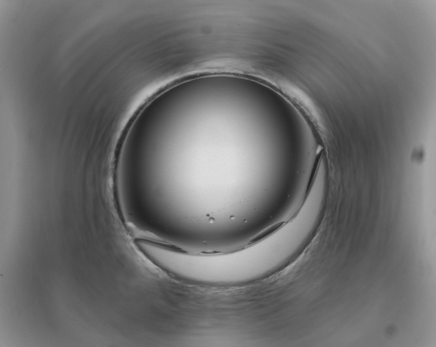 X0000096171288200802011310