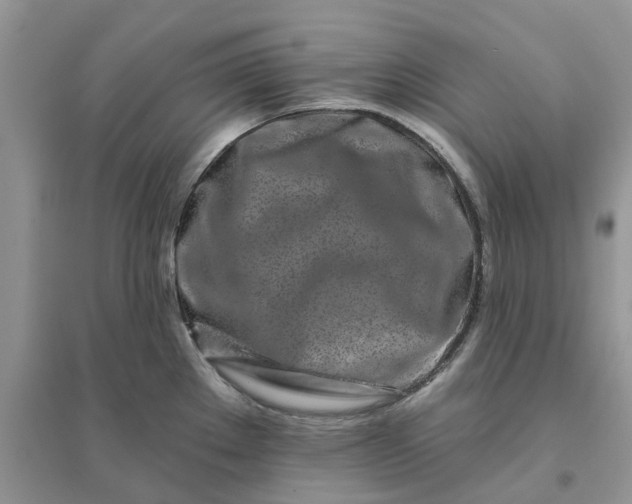 X0000096171289200802011310