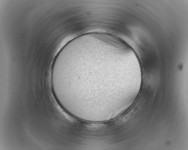 X0000096171290200802011310