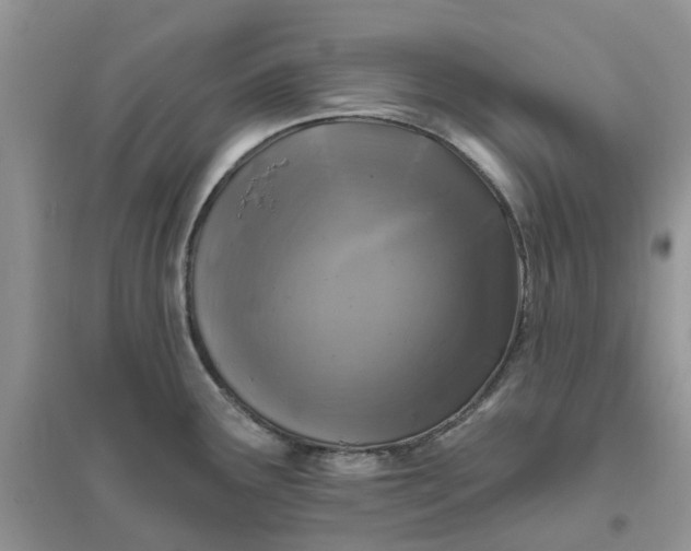 X0000096171291200802011310