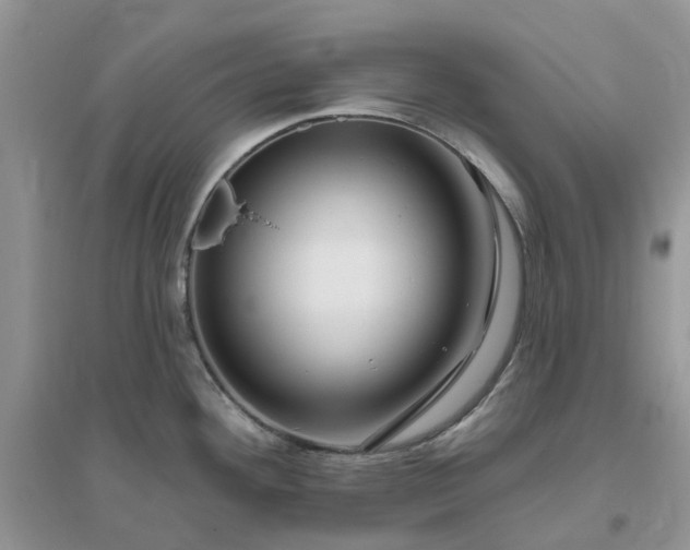 X0000096171292200802011310