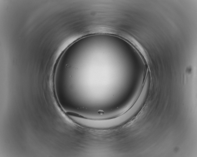 X0000096171293200802011310