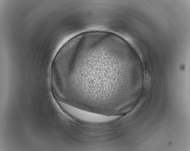 X0000096171295200802011310