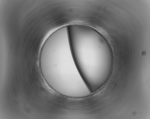 X0000096171296200802011310