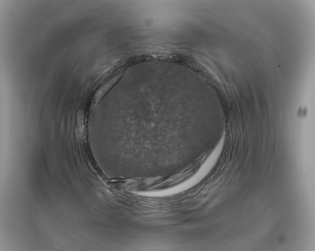 X0000096171298200802011309