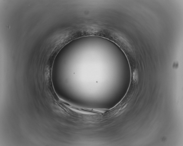 X0000096171299200802011309