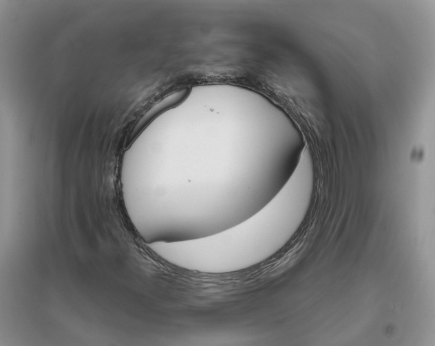 X0000096171300200802011309