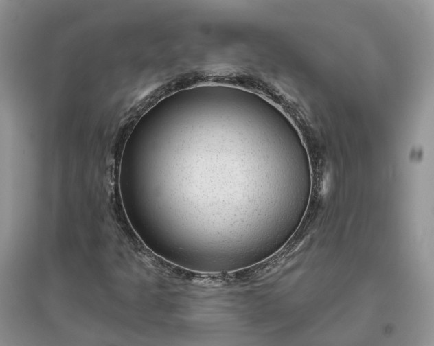 X0000096171301200802011309