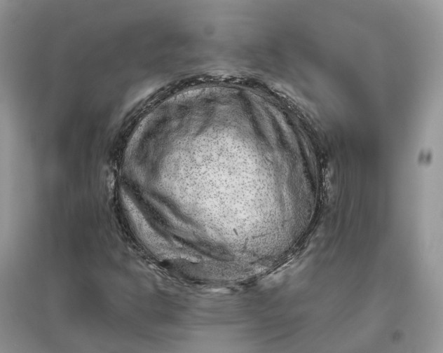 X0000096171302200802011309