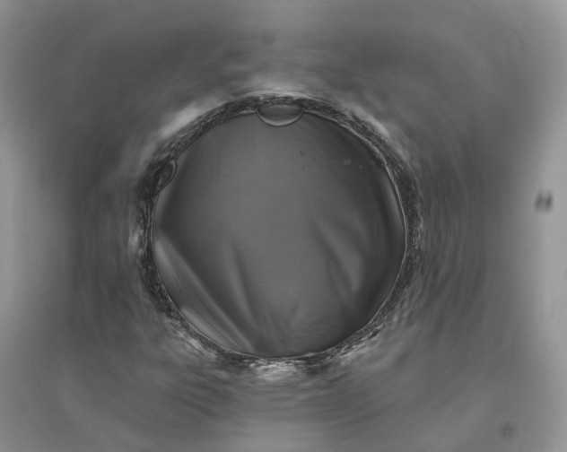 X0000096171303200802011309